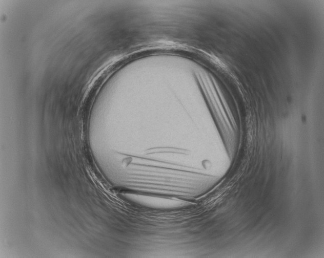 X0000053051318200508081118