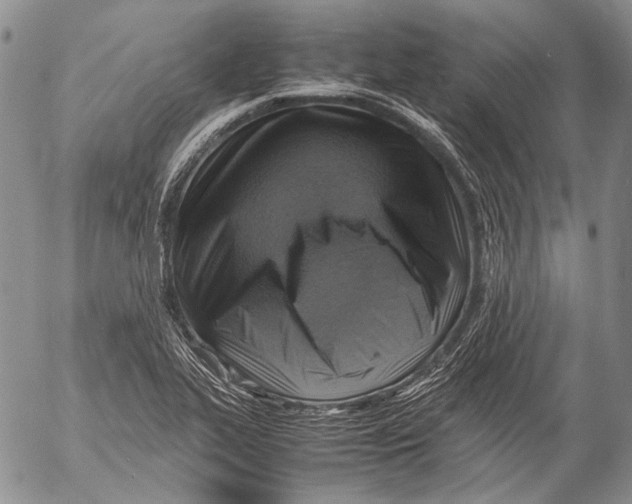 X0000053051319200508081118