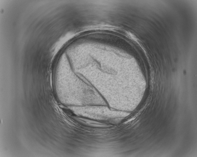 X0000053051320200508081118