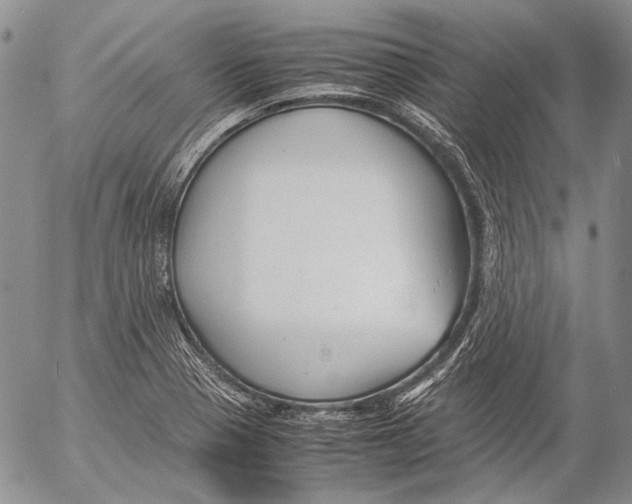 X0000053051321200508081118