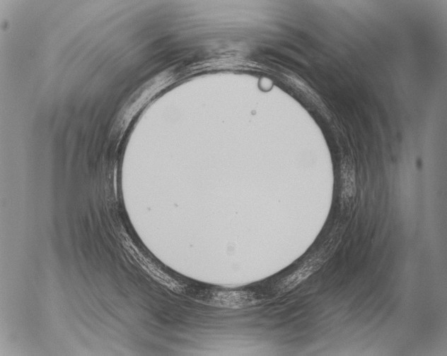 X0000053051322200508081118