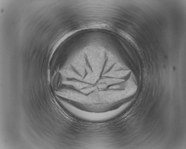 X0000053051324200508081118