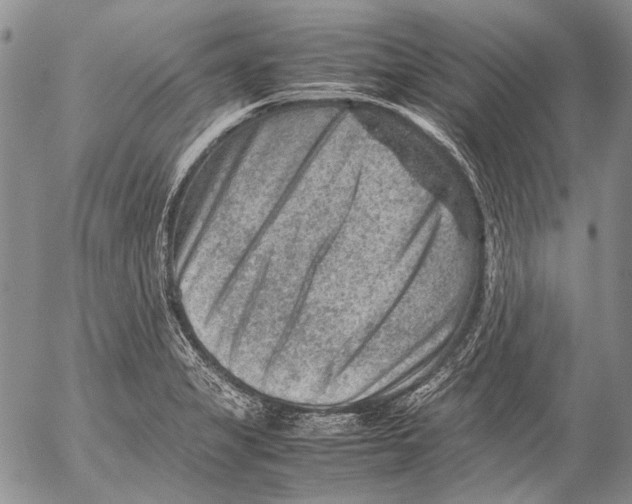 X0000053051325200508081119