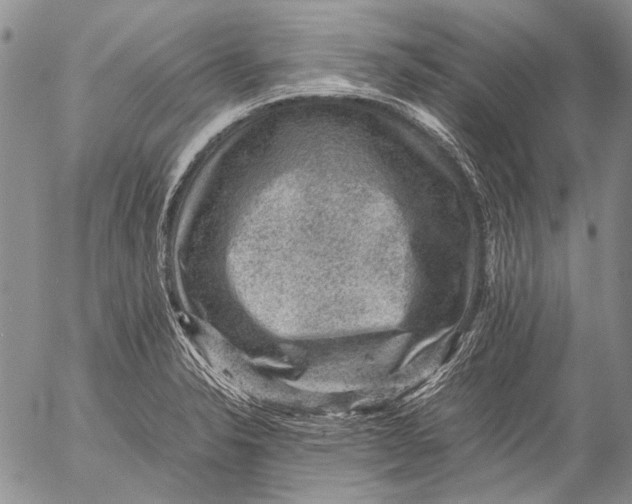 X0000053051326200508081119