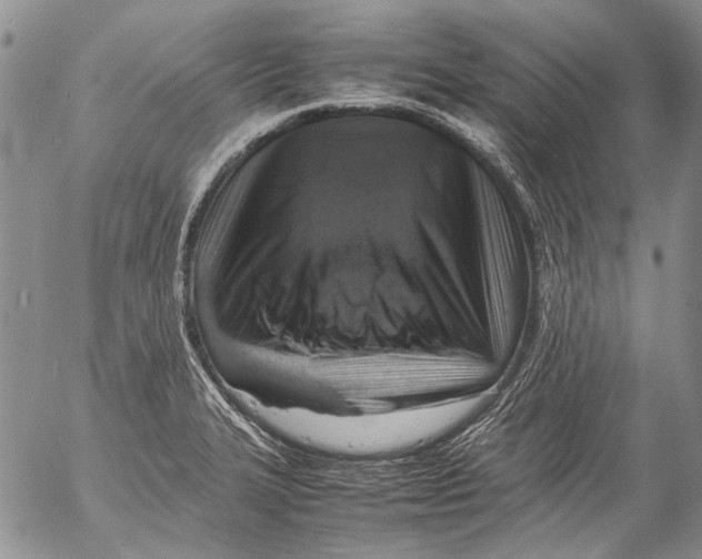 X0000053051327200508081119