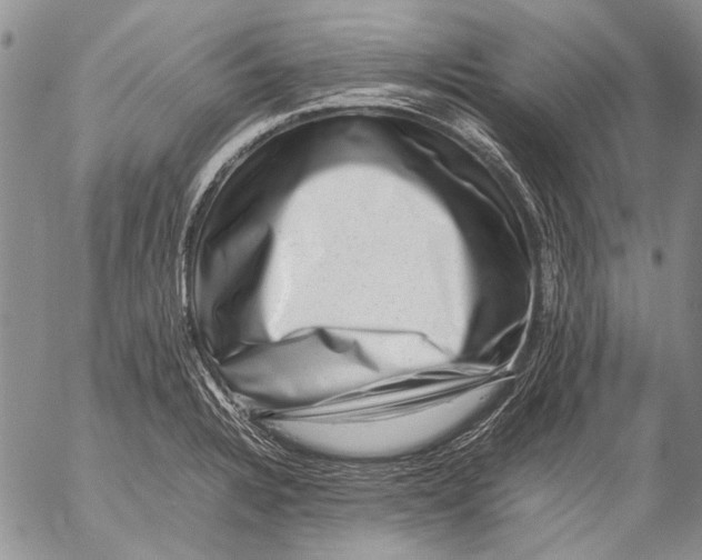 X0000053051328200508081119