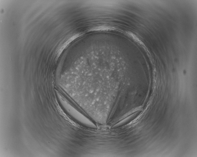 X0000053051329200508081119