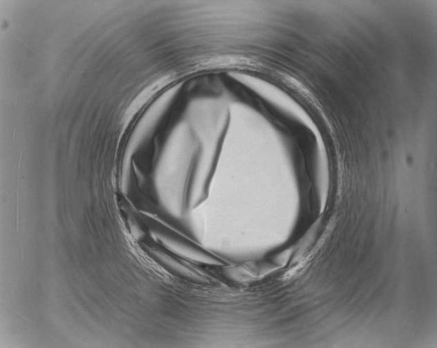 X0000053051330200508081119