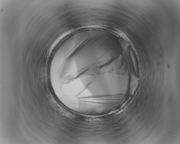 X0000053051331200508081119