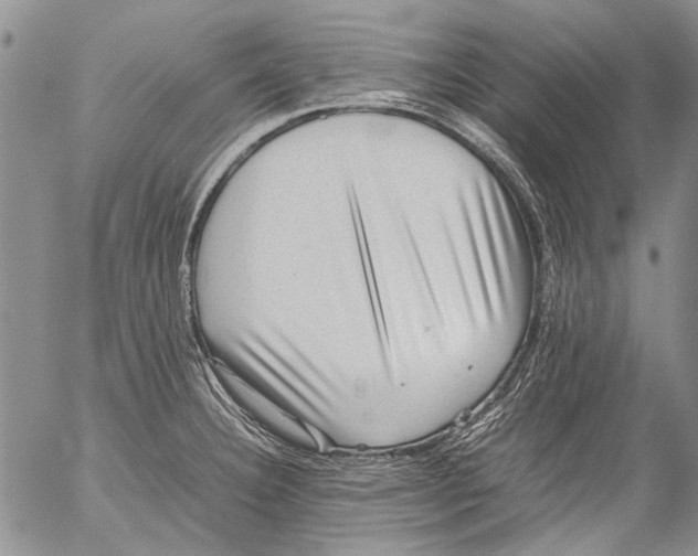 X0000053051332200508081119