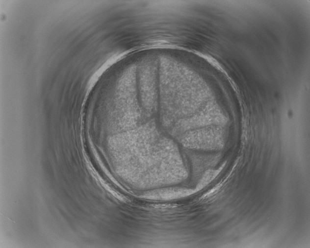 X0000053051333200508081119