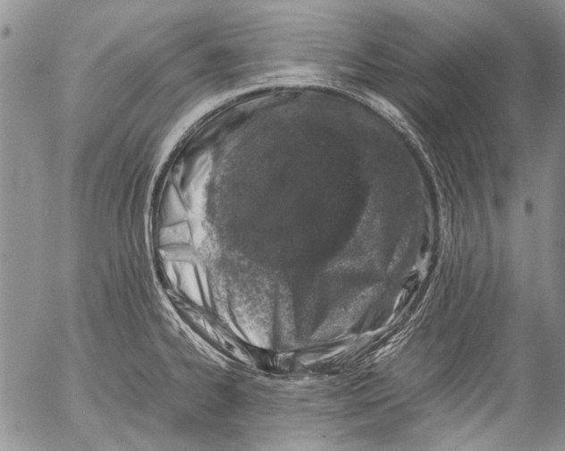 X0000053051334200508081119