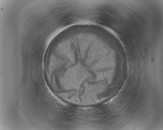 X0000053051335200508081119