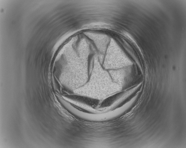 X0000053051336200508081119