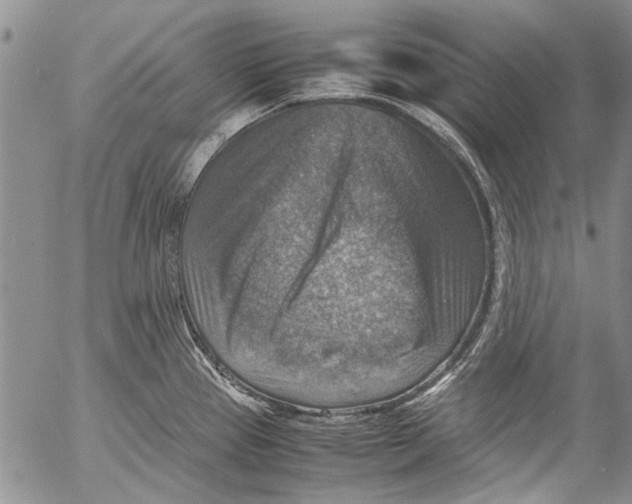 X0000053051337200508081119