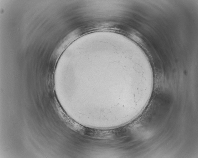 X0000053051338200508081119