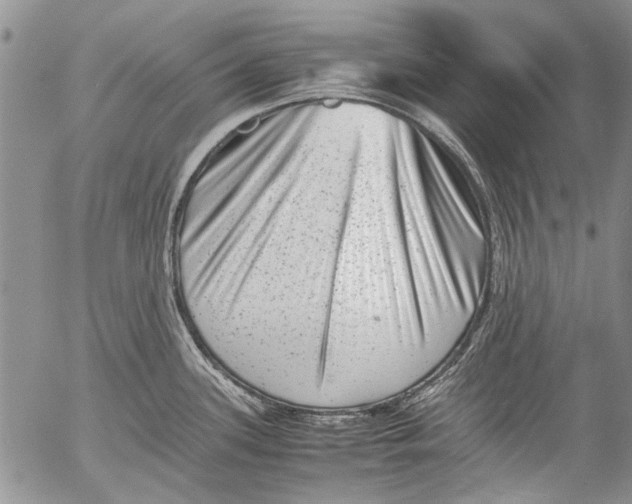 X0000053051339200508081119