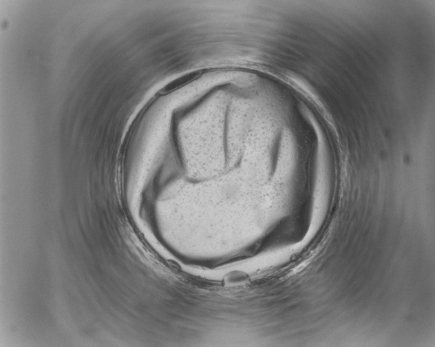 X0000053051340200508081119