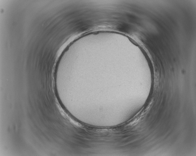 X0000053051341200508081119