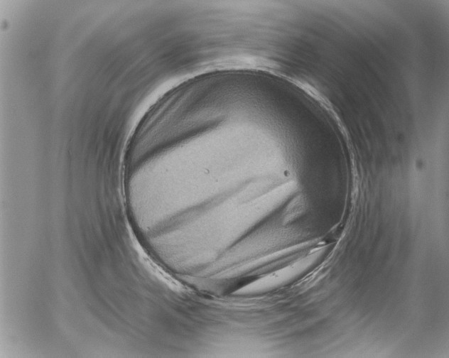 X0000053051342200508081119