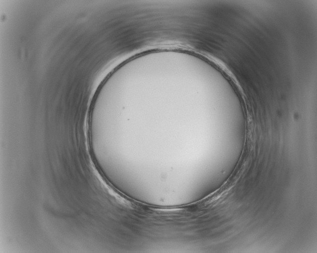 X0000053051343200508081119