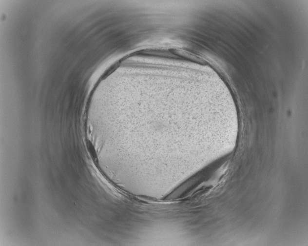 X0000053051344200508081119