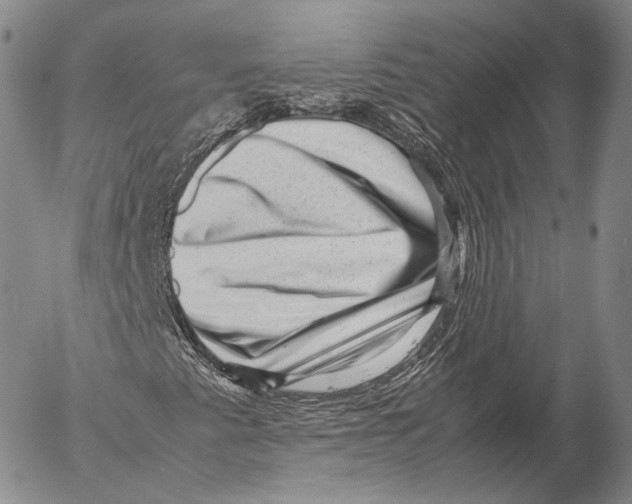 X0000053051345200508081118