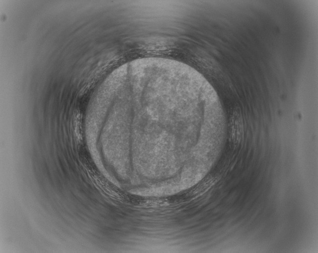 X0000053051346200508081118