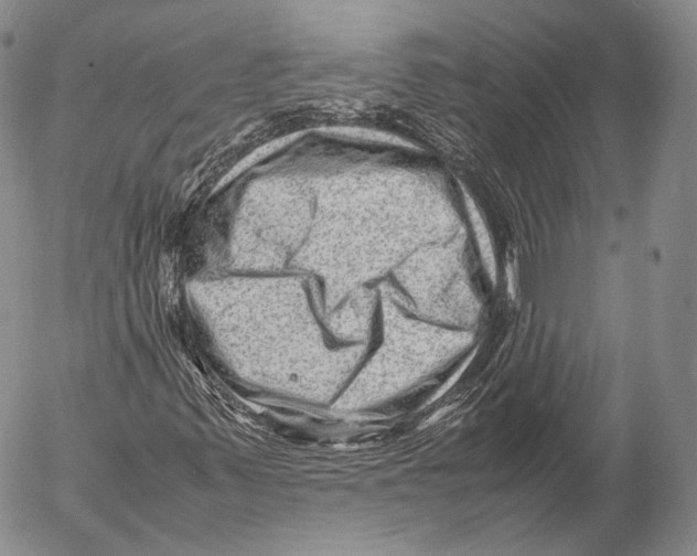 X0000053051347200508081118