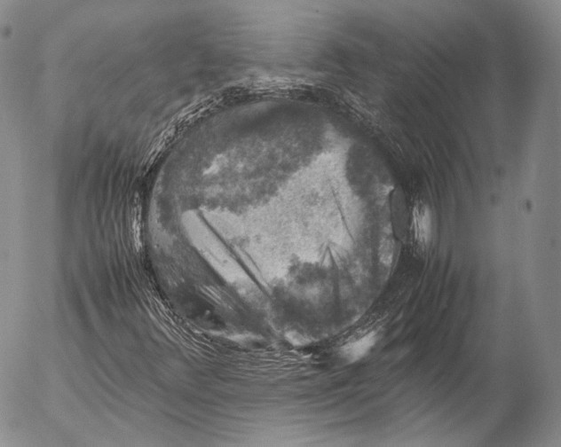 X0000053051348200508081118