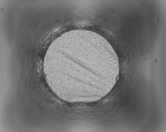 X0000053051349200508081118