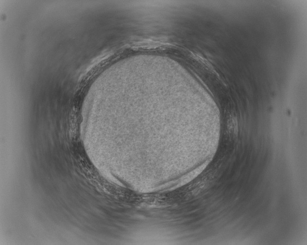 X0000053051350200508081118