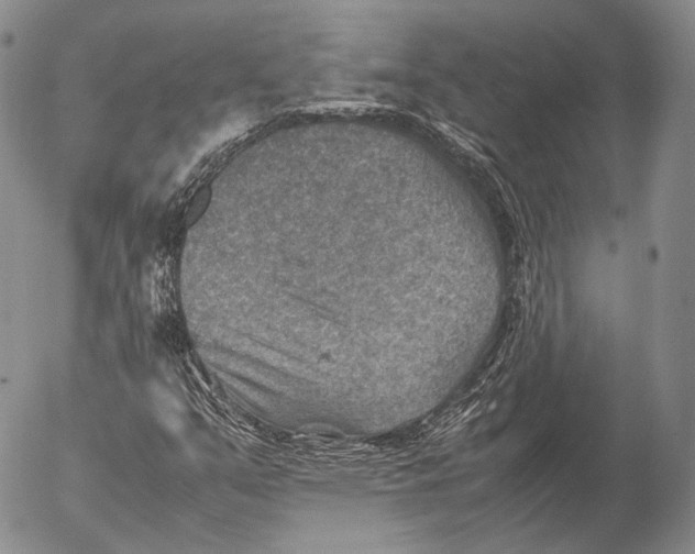 X0000053051351200508081118