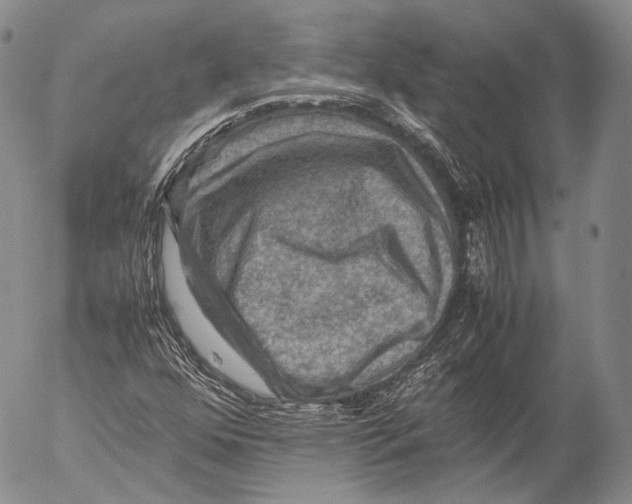 X0000053051352200508081118