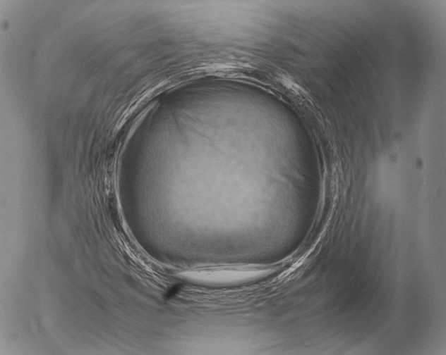 X0000053051353200508081118