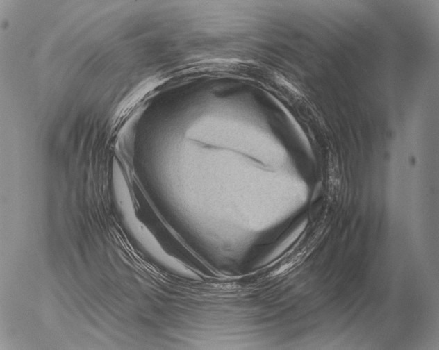 X0000053051354200508081118