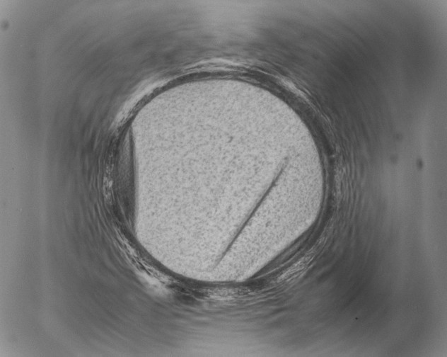 X0000053051355200508081118