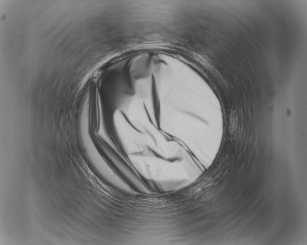 X0000053051356200508081118