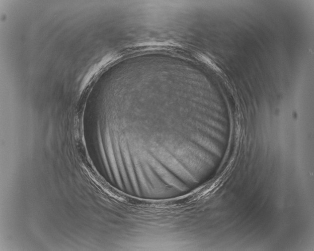 X0000053051357200508081118