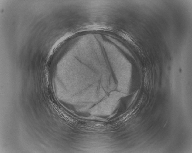 X0000053051358200508081118