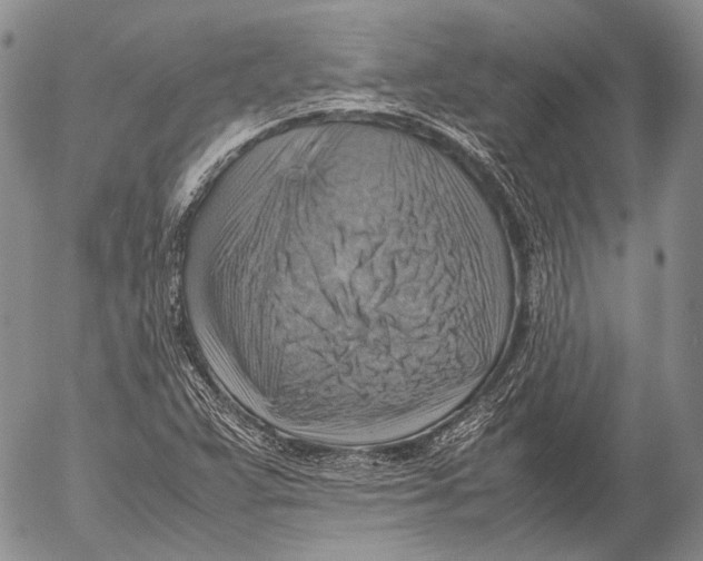 X0000053051359200508081118