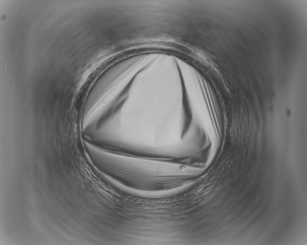 X0000053051360200508081118