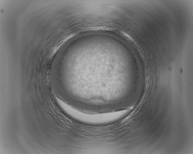 X0000053051361200508081118