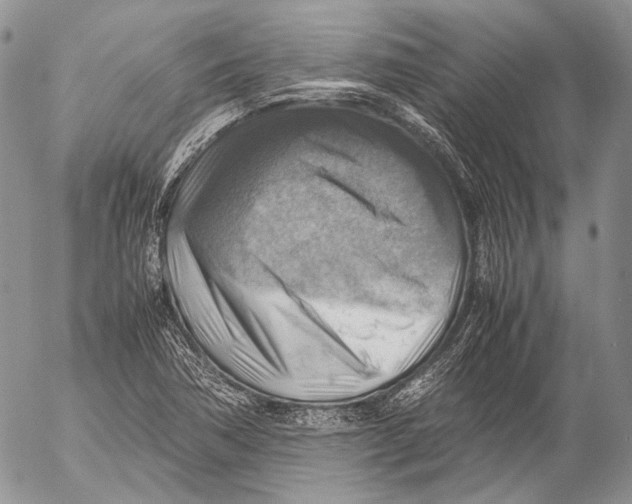 X0000053051362200508081118