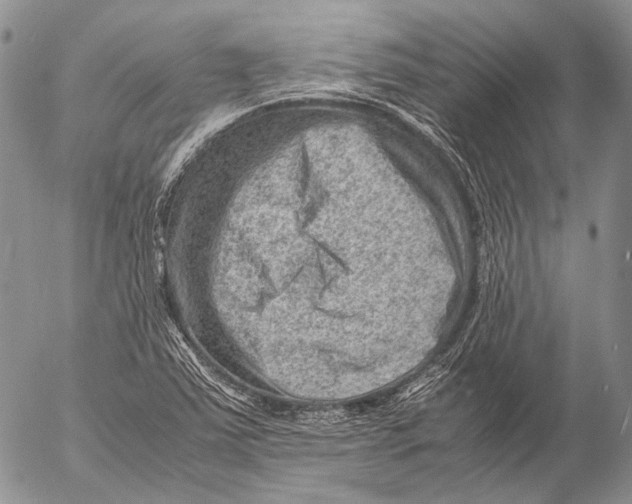 X0000053051363200508081118