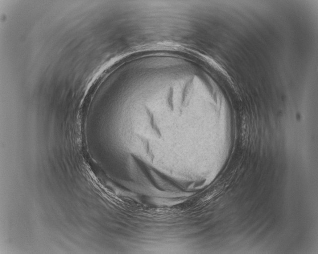 X0000053051364200508081118