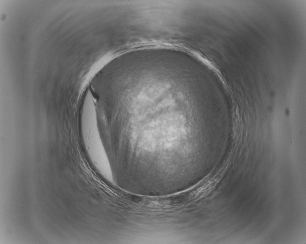 X0000053051365200508081118