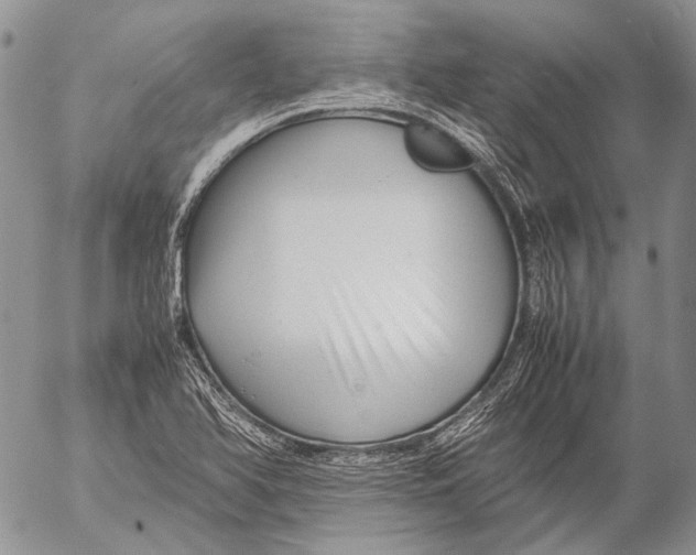 X0000053051366200508081118