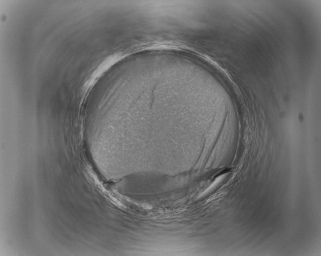 X0000053051367200508081118