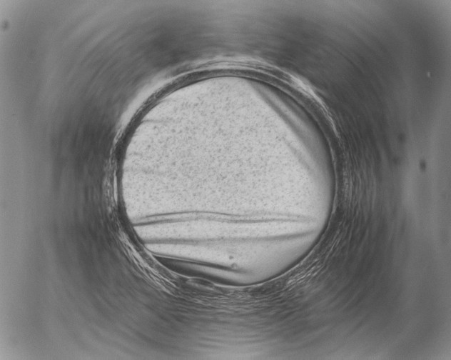 X0000053051368200508081118